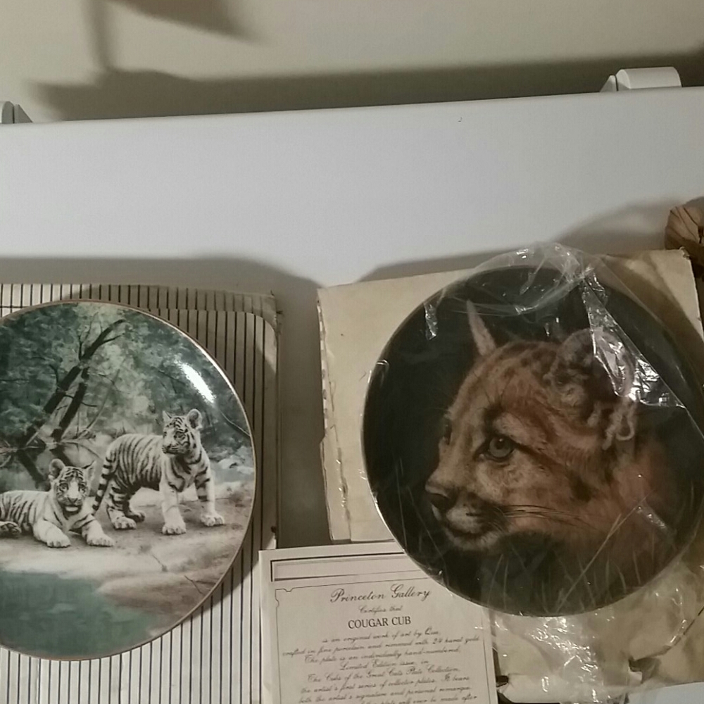 A bundle of two 30 year old collector plates brand
